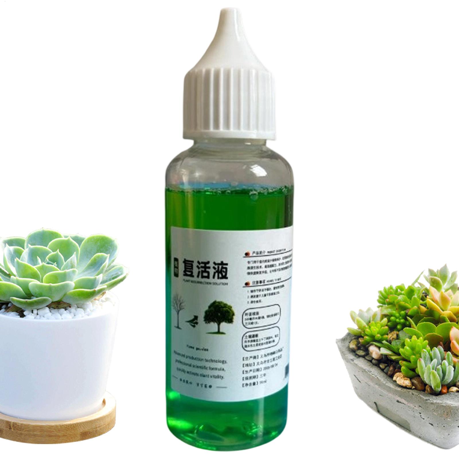 Root Stimulator Liquid - Pemicu Pertumbuhan Akar untuk Tanaman, Cairan