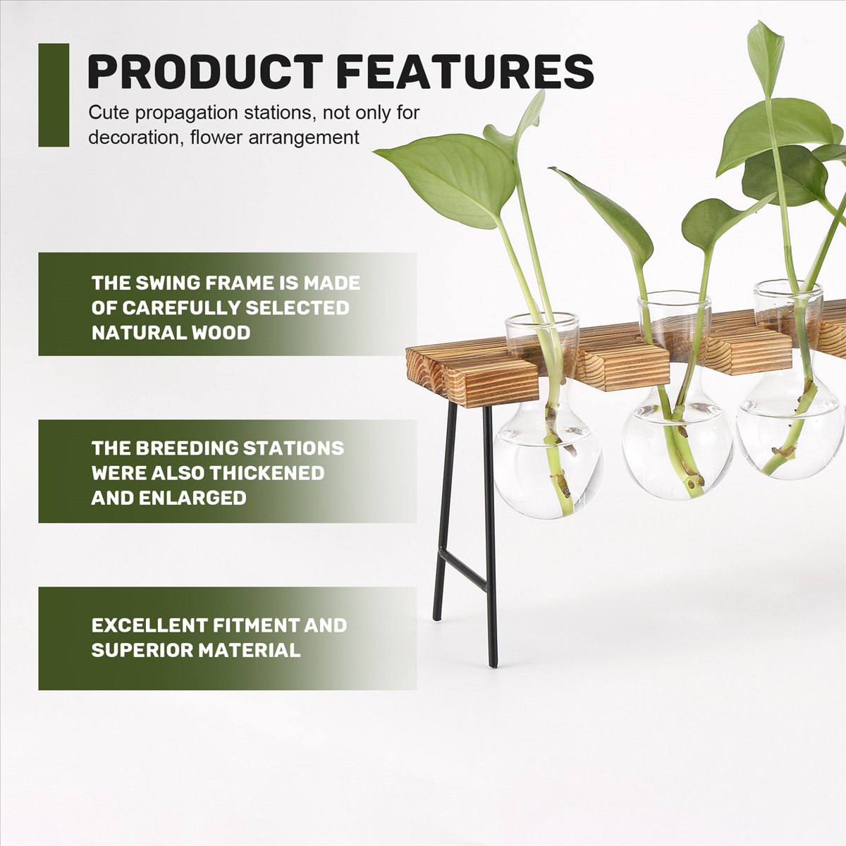 Propagation Station Vase - Stasiun Perbanyakan Tanaman ABFS, Terarium Tanaman