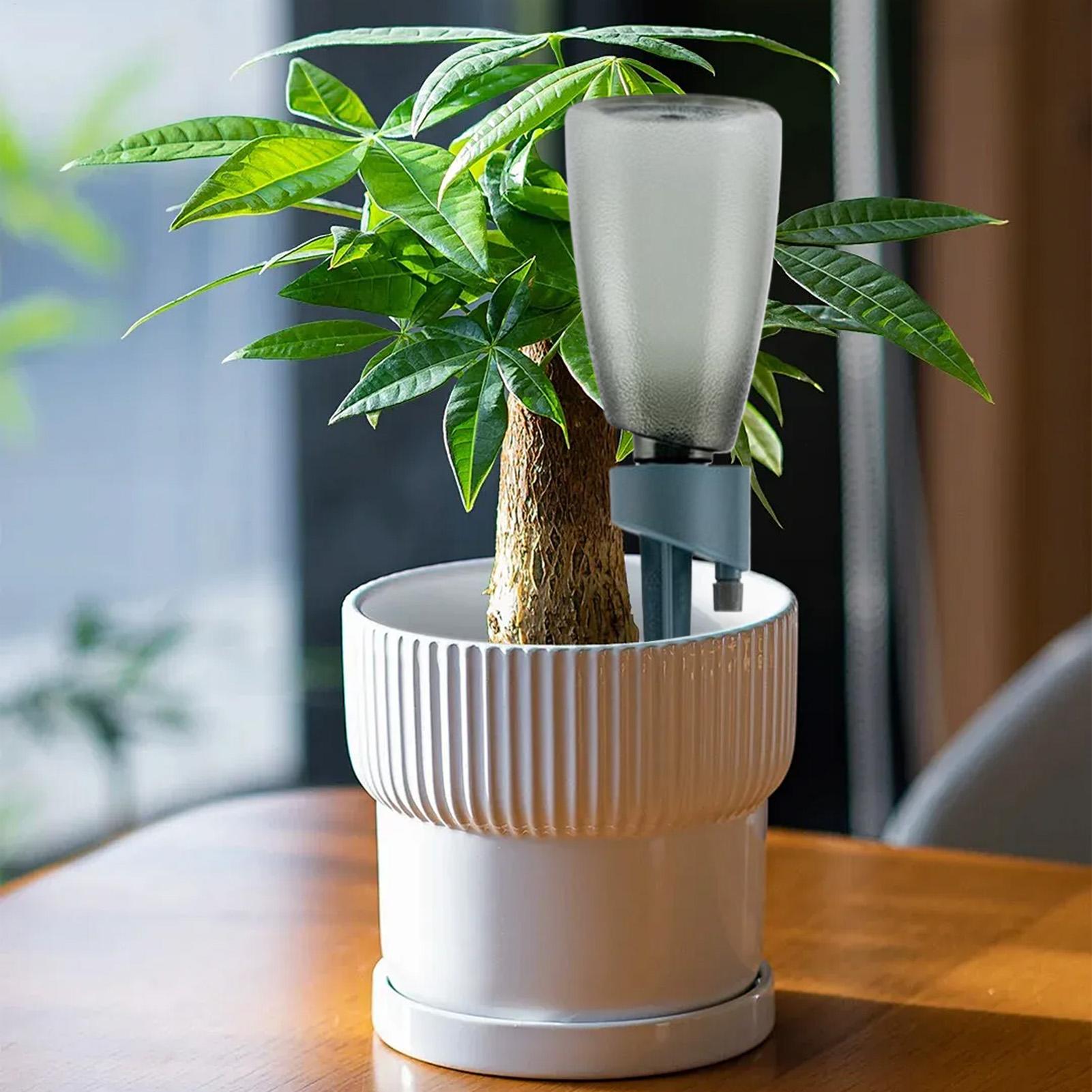 6 Buah Alat Penyiram Otomatis  - Self Watering Insert ulasan dan harga