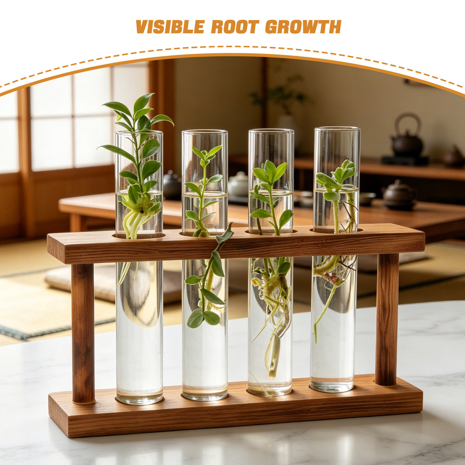 Stasiun Perbanyakan Tanaman Ka - Propagation Station Vase ulasan dan harga
