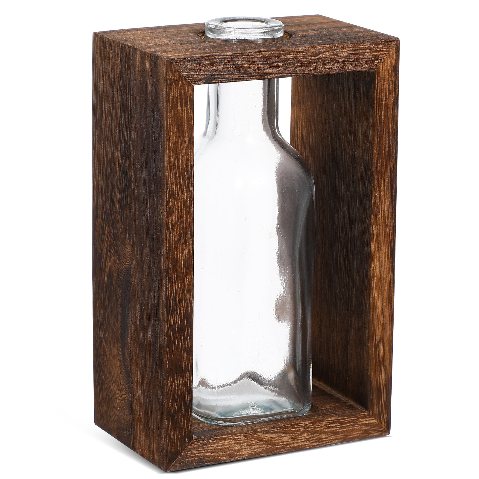 1Set Stasiun Propagasi Tanaman - Propagation Station Vase ulasan dan harga