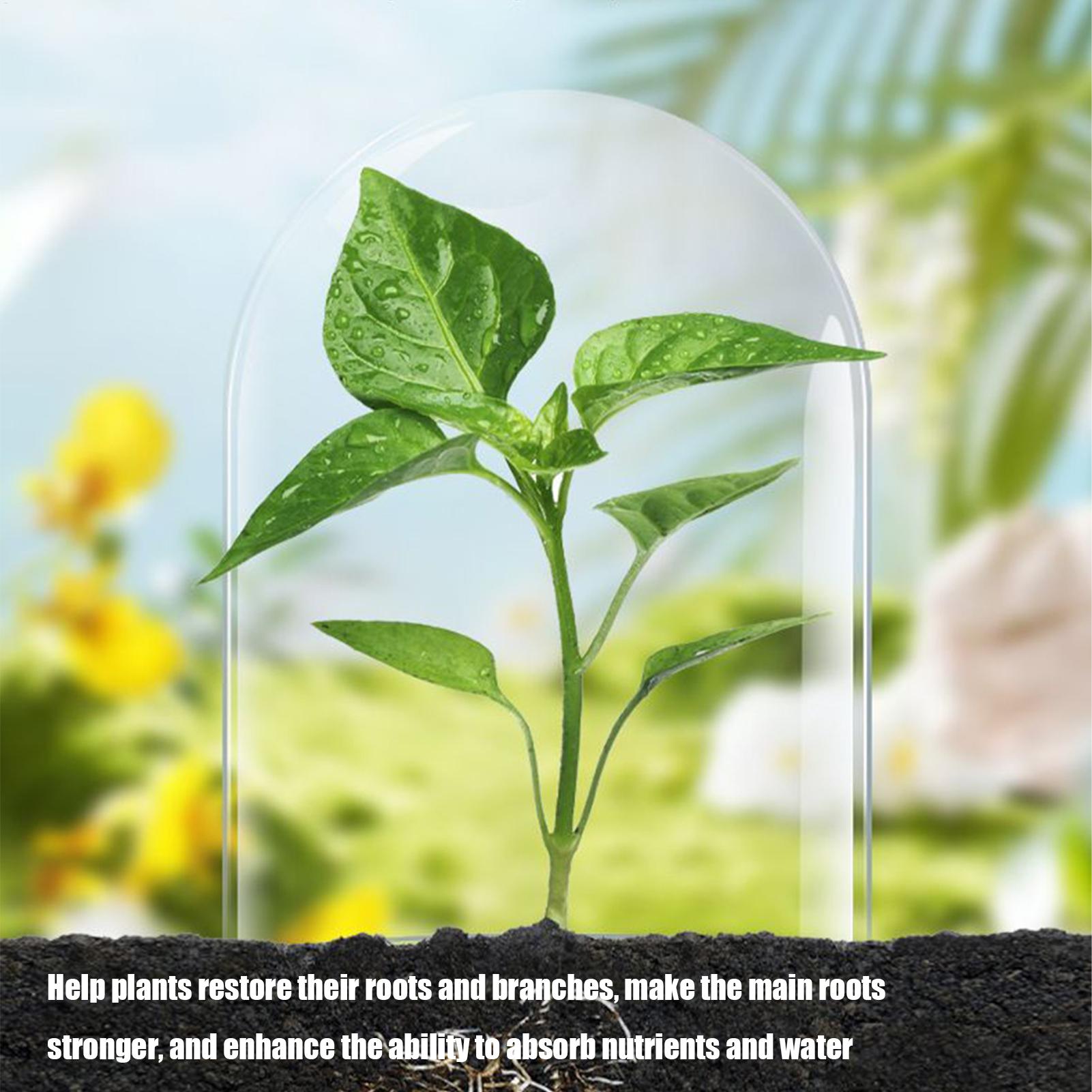 Pemicu Pertumbuhan Akar untuk  - Root Stimulator Liquid ulasan dan harga