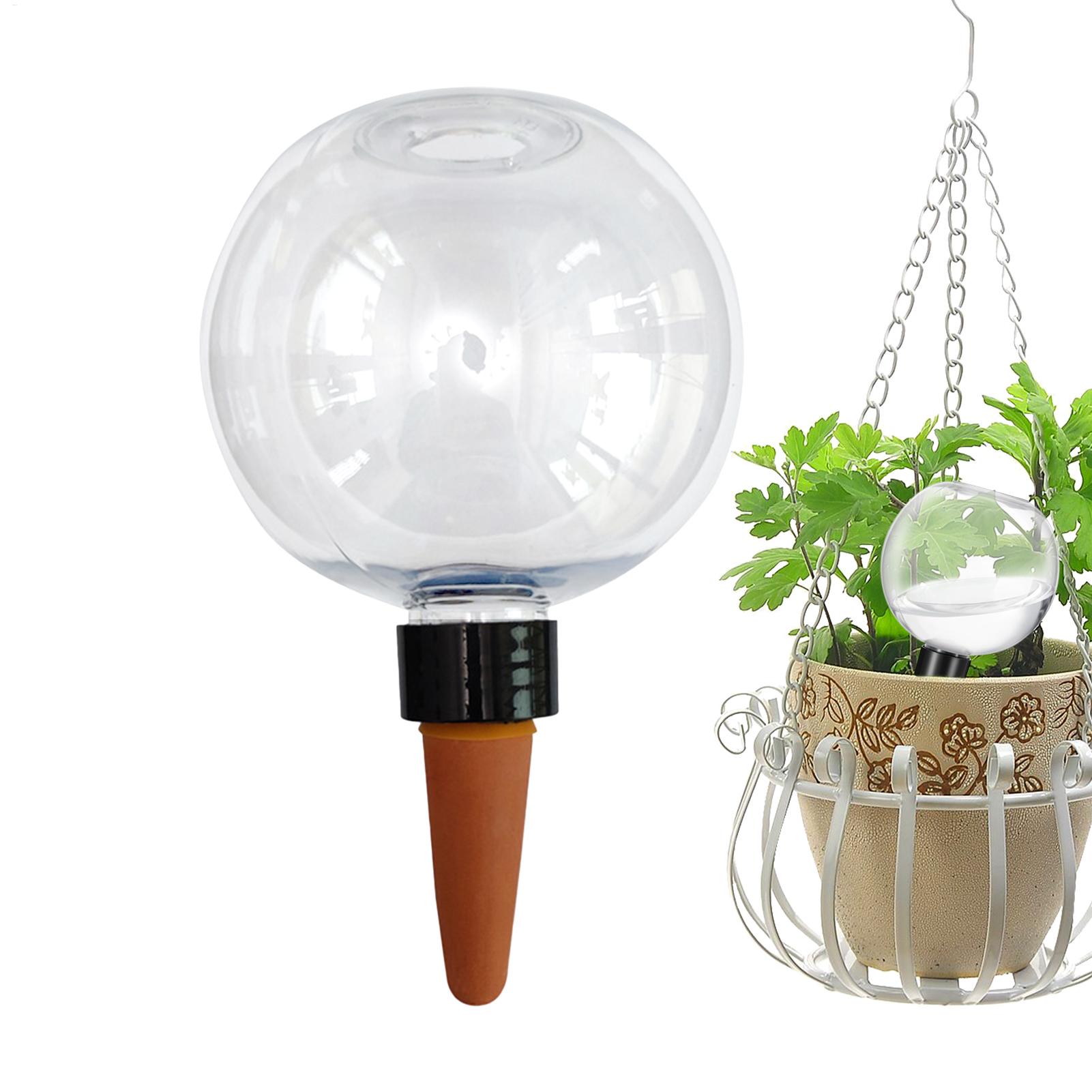 500Ml Bola Penyiraman Otomatis - Self Watering Insert ulasan dan harga