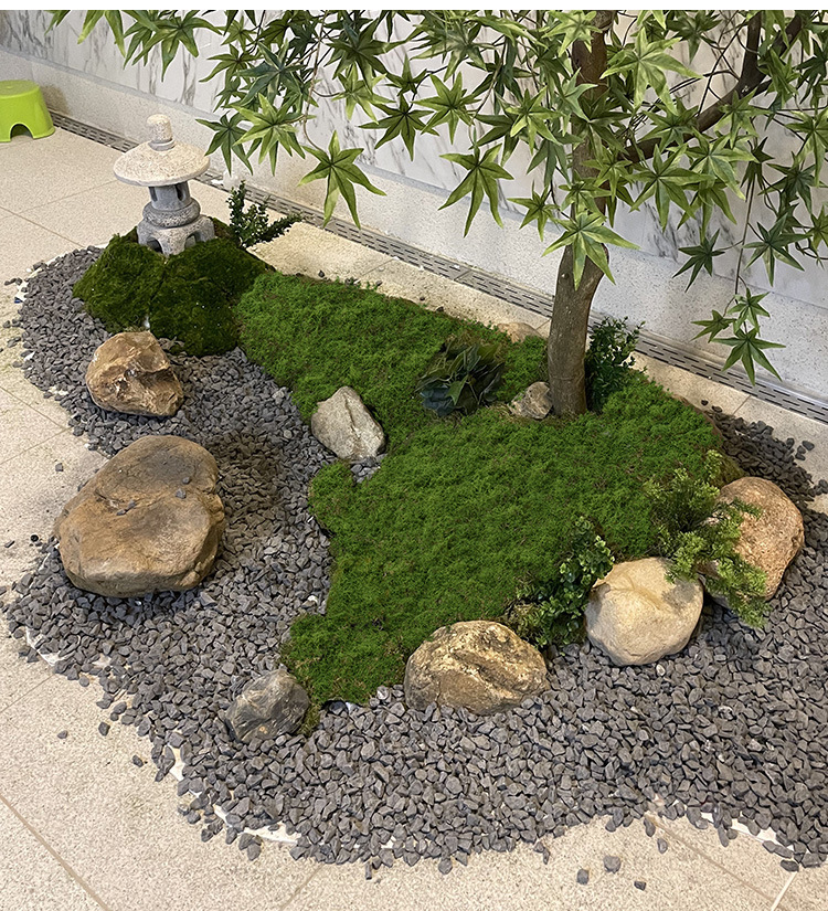 Filamen lumut buatan lumut rum - Sphagnum Moss Dry ulasan dan harga