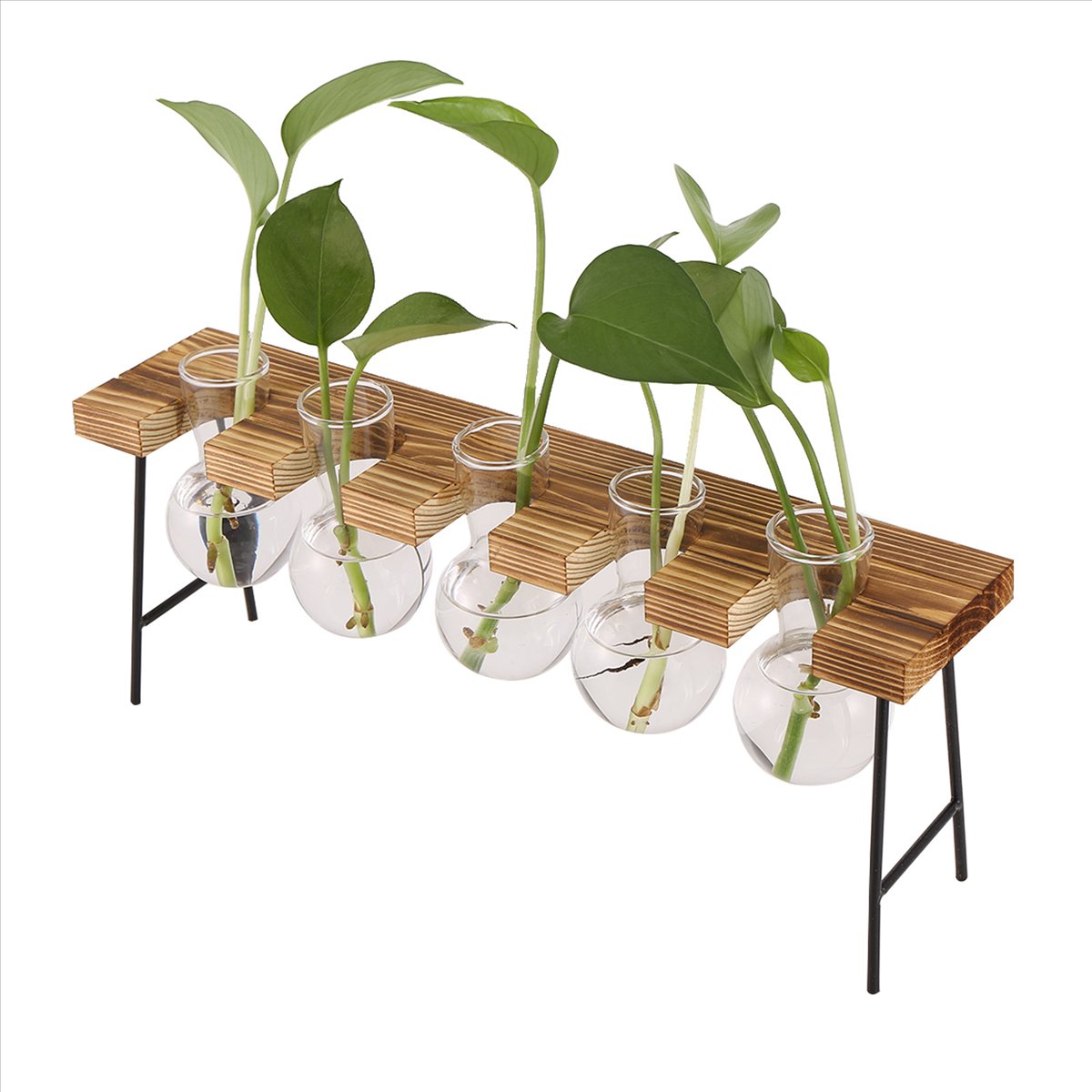 Stasiun Perbanyakan Tanaman AB - Propagation Station Vase ulasan dan harga